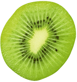 Kiwi decorativo